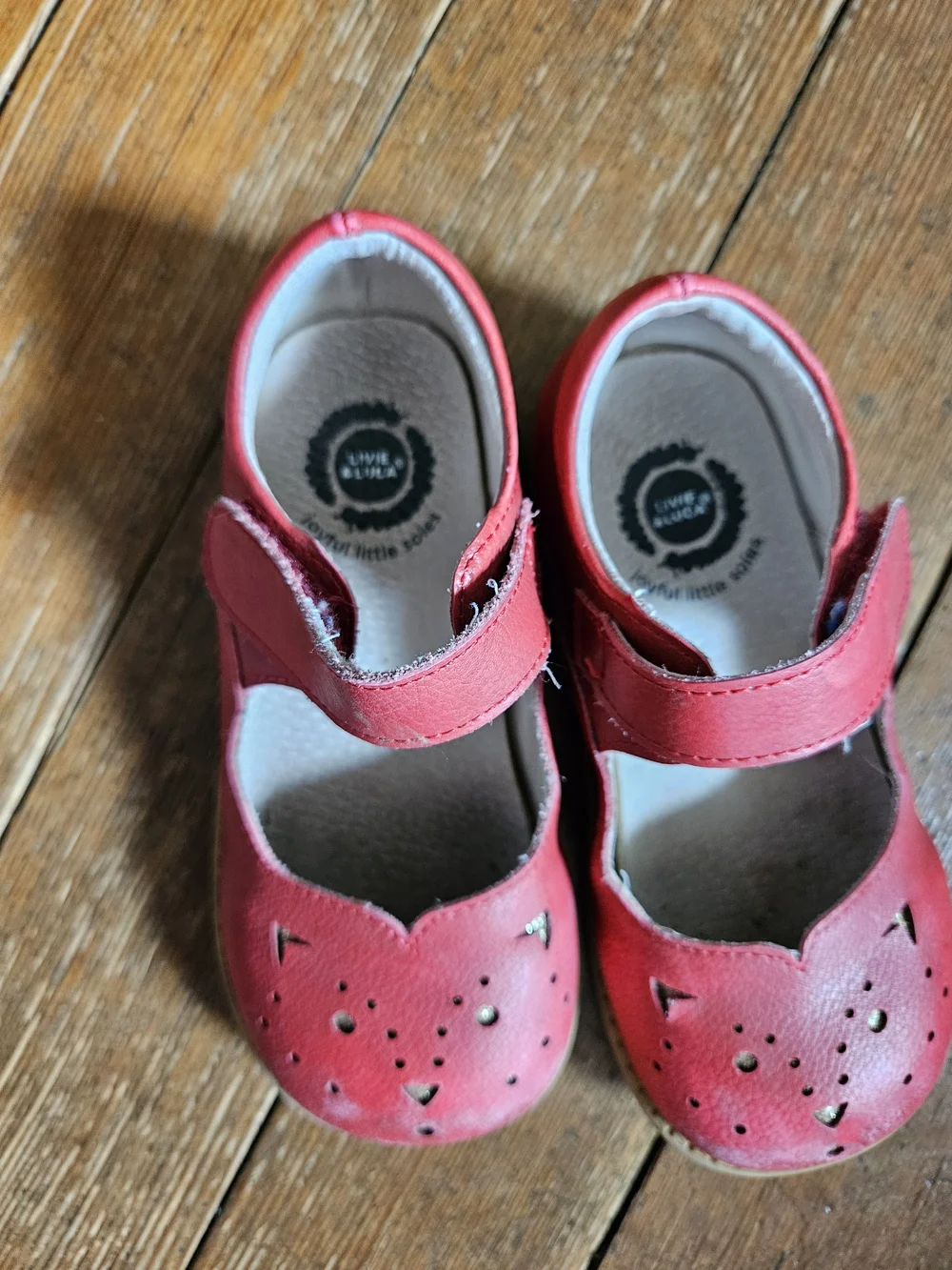 Livie & Luca Red Mary Jane Cat Cutout Shoes